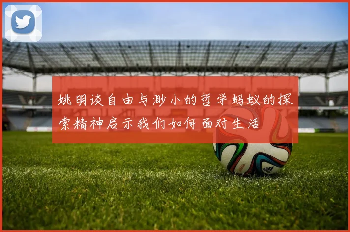 姚明谈自由与渺小的哲学蚂蚁的探索精神启示我们如何面对生活