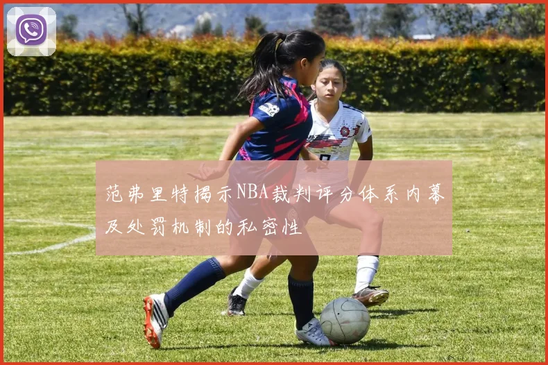 范弗里特揭示NBA裁判评分体系内幕及处罚机制的私密性